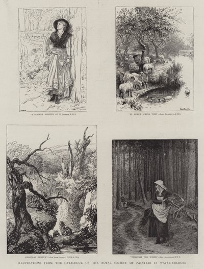 Ilustraciones del Catálogo del Instituto Real de Pintores en Acuarelas de Edward Killingworth Johnson
